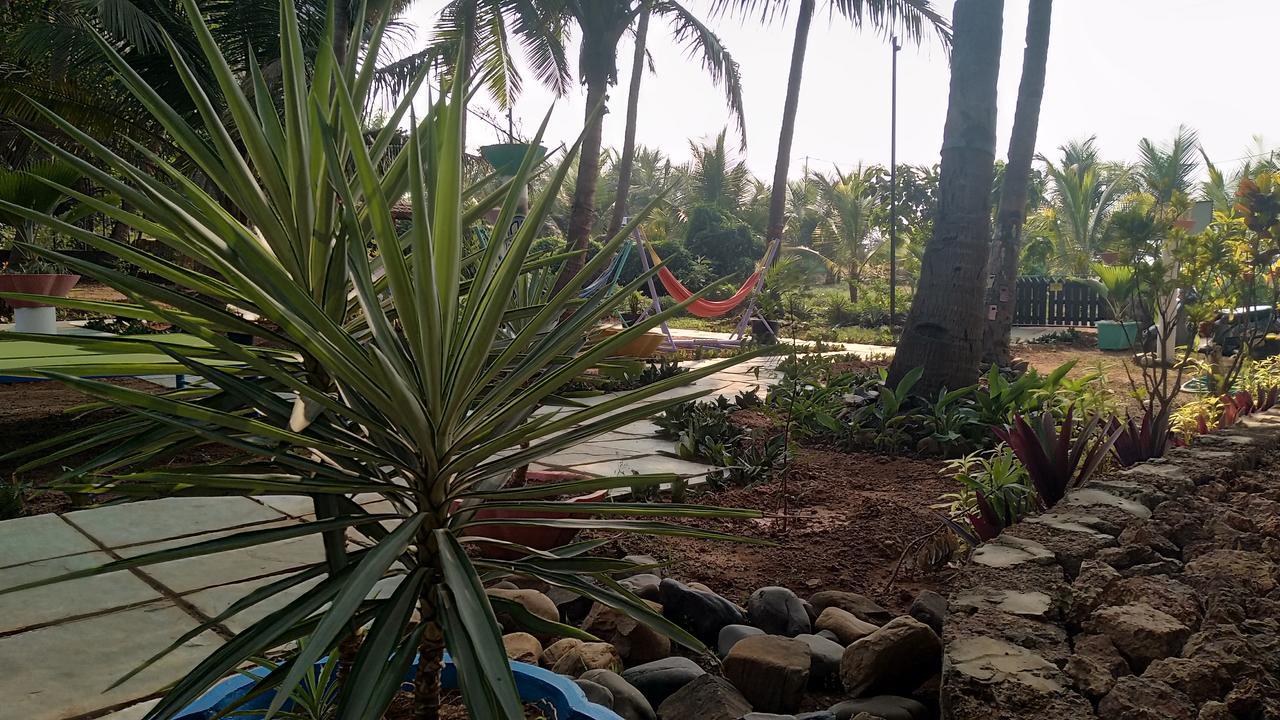 The Yuppi Hippi Hideout Hotel Anjuna Eksteriør billede